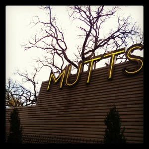 Mutts Canine Cantina Dallas TX